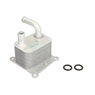 Immagine di THERMOTEC D4G011TT Radiatore Olio FORD: Focus Mk1 Hatchback, Station Wagon, Galaxy Mk2 MPV