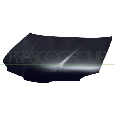 Immagine di Cofano motore PRASCO MB7103100