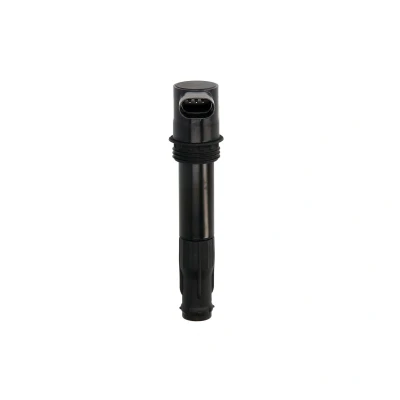 Immagine di DELPHI CE10027 12B1 Bobina d&#039;accensione 3 12 LAND ROVER: Freelander I SUV, SUV Cabrio, 75