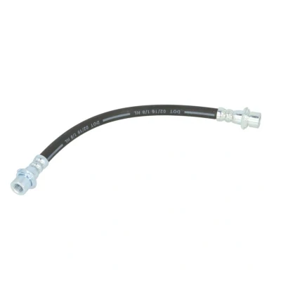 Immagine di DELPHI LH7193 Tubi Freno 249 M10x1 INT DF