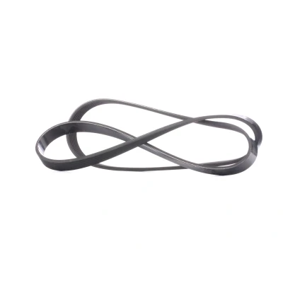 Immagine di DAYCO 6PK1381 Cinghia Poly V 1381,0 6 OPEL: Astra H Caravan, Zafira B, Hatchback, FORD: SCORPIO 2
