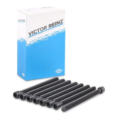 Immagine di REINZ 14 32227 01 Kit Bulloni Testata Torx esterno SAAB: 900 II Hatchback, 9000 Cabrio