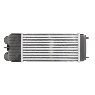Immagine di NRF 30196 Intercooler CITROËN: C2 Hatchback, C3 II