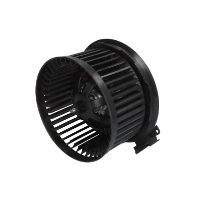 Immagine di Soffiante interna THERMOTEC DDG013TT