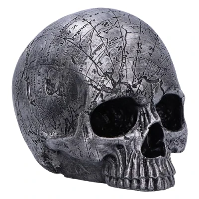 Immagine di Nemesis Now Mappa mentale 15 cm, resina, argento, figura di teschio, ornamento a forma teschio d&#039;argento, regalo da collezione, fusa nella migliore sapientemente dipinto mano