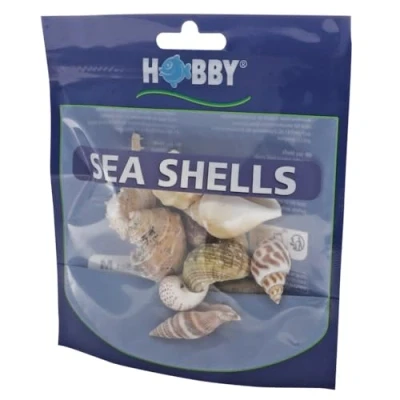Immagine di Hobby, Set di Conchiglie Mare