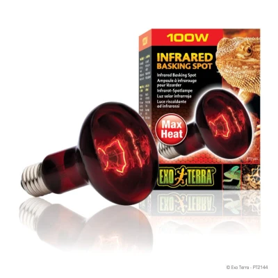 Immagine di Lamp R25W/10.0 Infrared Pt2144 Exo Terra 1 Pezzo