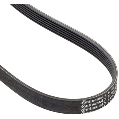 Immagine di CONTITECH 6PK1800 Cinghia Poly V 1800 6 OPEL: Astra G Caravan, Zafira A, Frontera B SUV, BMW: 1 Hatchback, Coupe, Cabrio, RENAULT: LAGUNA 2