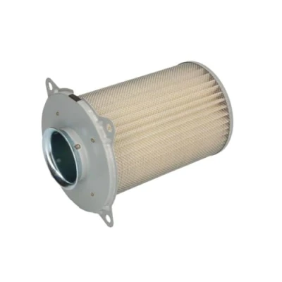 Immagine di HifloFiltro HFA3501 Filtro aria a secco