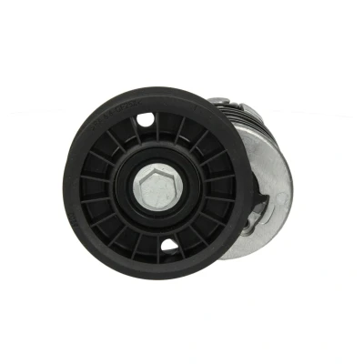Immagine di INA 534 0185 10 Braccio tenditore, Cinghia Poly V AUDI: A4 B5 Avant