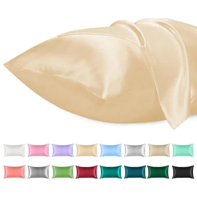 Immagine di Lirex Set di 2 Federe in Raso, Decorativi Morbido Tinta Unita Quadrate Cuscini Federa Satin per Cuscino Senza Rughe Resistente Allo Sbiadimento Traspirante (Champagne, 50 x 80 cm)