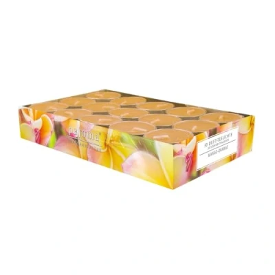Immagine di Pajoma 92003 Set di 30 lumini profumati Mango Arancione Modern Line, Durata Circa 14 Ore, Altezza 1,5 cm