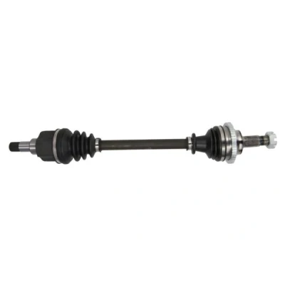 Immagine di Albero motore/Semiasse PASCAL G2C026PC