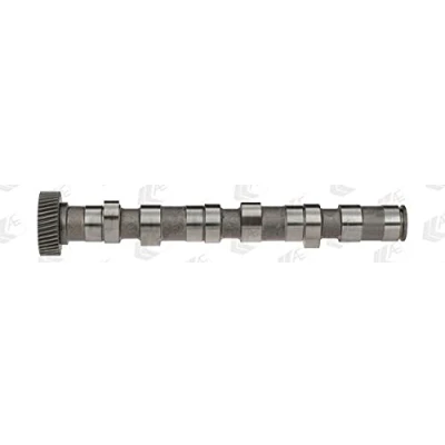 Immagine di AE CAM702 Albero a Camme per cilindro 4 6, Lato scarico AUDI: A4 B6 Avant, A6 C5 Avant