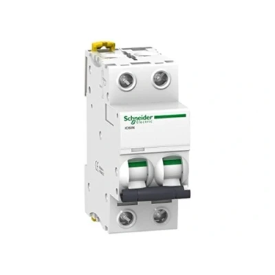 Immagine di Schneider Electric Ic60N C Type 2P Interruttore Automatico