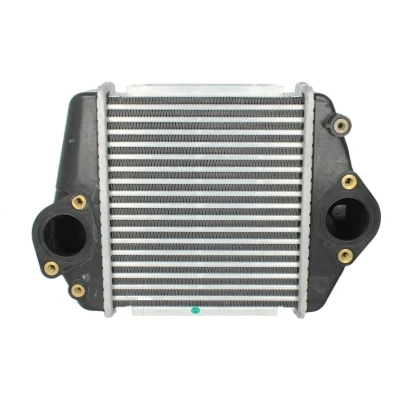 Immagine di NRF 30360 Intercooler MAZDA: CX 7