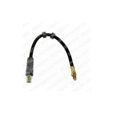 Immagine di DELPHI LH6293 Tubi Freno 382 M10x1 Int SF