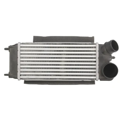 Immagine di Intercooler THERMOTEC DAG014TT