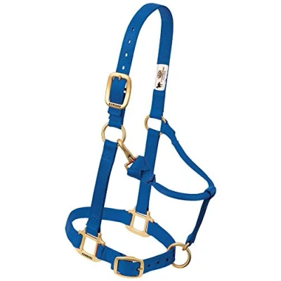 Immagine di Weaver Leather Cavezza in Nylon Regolabile Originale, Blu, Arabo/pannocchia