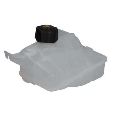 Immagine di THERMOTEC DBR017TT Vaschetta Radiatore con tappo chiusura RENAULT: MEGANE 3, 3 Grandtour, Coupe