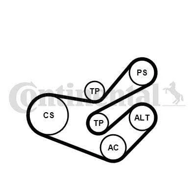 Immagine di CONTITECH 6PK1750K3 Kit cinghie Poly V con ammortizzatore serraggio, Rullo tenditore CITROËN: Jumpy I Van, Xsara Hatchback, Station Wagon