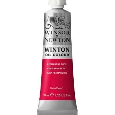 Immagine di Winsor &amp; Newton Olio Winton 37 Ml, Rosa, 10.3 X Cm 4.0 2.5