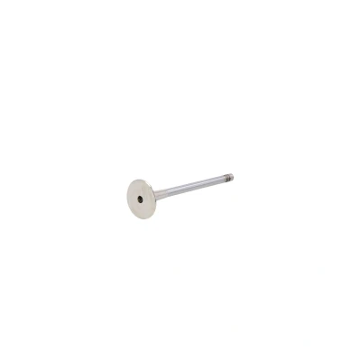 Immagine di AE V94692 valvola di Scarico 28 stelo cromato, Terminale temprato VOLKSWAGEN: Golf 5, Transporter 5 Bus, Scirocco III