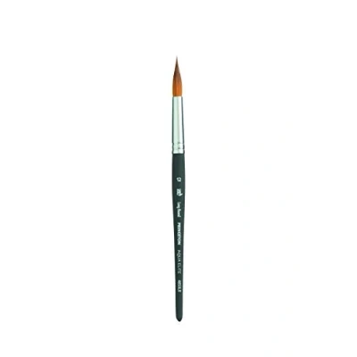 Immagine di Princeton P4850LR12 Elite Syn Sh Lungo Rotondo Misura 12