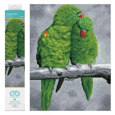 Immagine di DIAMOND DOTZ Squares DQ8 Kit Intermedio, Colore Pesce persico Dolce, 31 x 41cm, DQ8.011