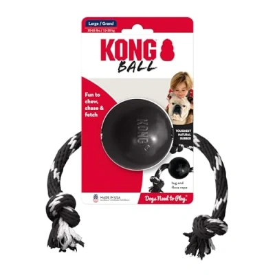Immagine di KONG Extreme Ball W/Rope ref EB12E