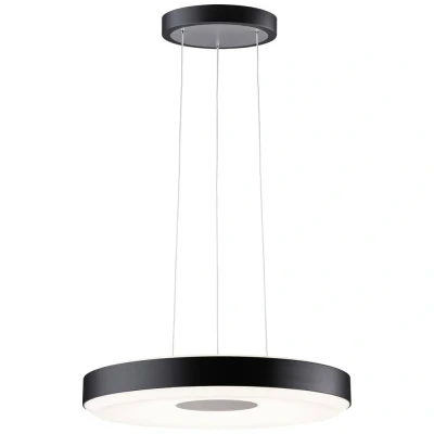 Immagine di Paulmann Pane 79779 Lampada LED a sospensione (monocolore) 11 W Nero, Grigio