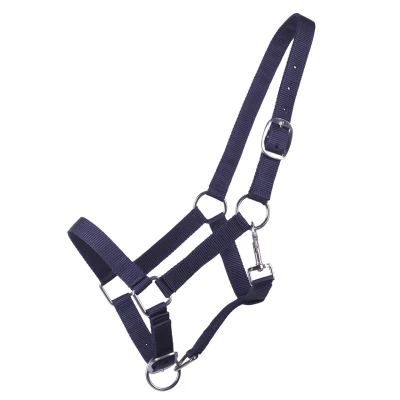 Immagine di Q essentials Halter Yearling