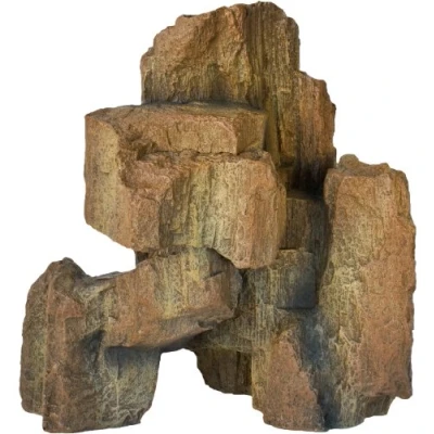 Immagine di Hobby Fossil Rock