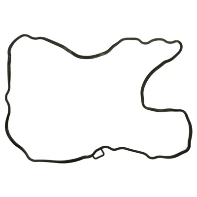 Immagine di REINZ 71 39074 00 Guarnizione Coperchio Punterie ACM (Poliacrilico Caucciù)