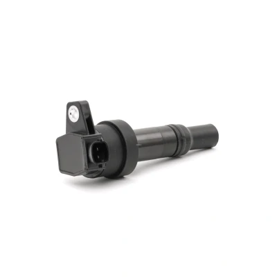 Immagine di BERU ZS476 Bobina d&#039;accensione 12 Spring HYUNDAI: i10 II Hatchback, I, KIA: Picanto