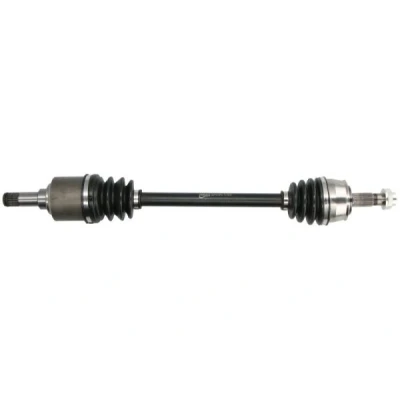 Immagine di Albero motore/Semiasse PASCAL G2F013PC