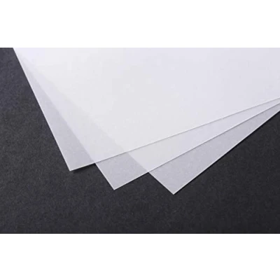 Immagine di Clairefontaine Confezione di Carta Lucido 70 x 100 cm 5SH 140 g, Trasparente