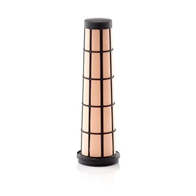 Immagine di Filtro aria secondaria MANN FILTER CF 10 002