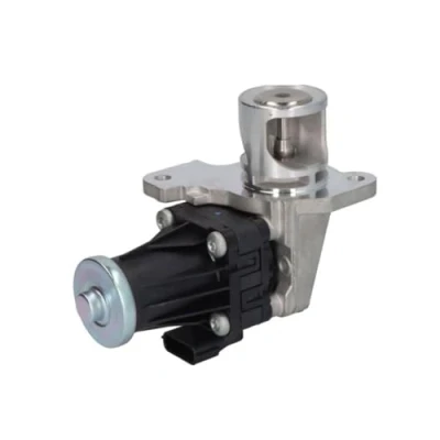 Immagine di Delphi Technologies EG10553 12B1 Valvola EGR