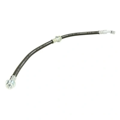 Immagine di DELPHI LH6638 Tubi Freno 490 M10x1 Int DF NISSAN: X Trail
