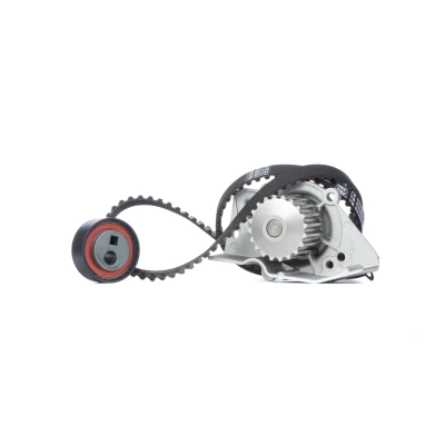 Immagine di SKF VKMC 03201 1 Pompa Acqua + Kit Cinghia Distribuzione 114 CITROËN: Xsara Station Wagon, Berlingo / First I