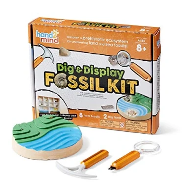 Immagine di Learning Resources Kit di Scavo per i fossili Scava ed Esponi gli 8 12 anni, scientifico bambini con veri e una guida ricca informazioni