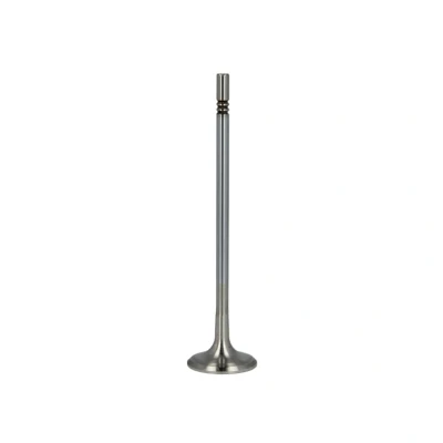 Immagine di FRECCIA R6525/BMCR valvola di Scarico 27,5 Stelo cromato OPEL: Corsa D Hatchback, Mokka / X, Astra J Hatchback