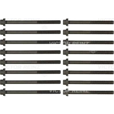 Immagine di REINZ 14 32288 01 Kit Bulloni Testata Multidentata esterna RENAULT: ESPACE 4, SAAB: 9 5 Station Wagon