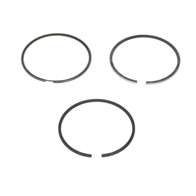 Immagine di GOETZE ENGINE 08 435700 00 Kit Fasce Elastiche 69,6 LKZ Ring FIAT: Punto III Hatchback, Evo 500L, ALFA ROMEO: MiTo, OPEL: Meriva B