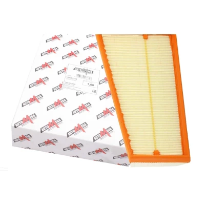 Immagine di AUTOMEGA 180053210 filtro aria 58 193 247 Cartuccia RENAULT: SCENIC 3, MEGANE 3 Grandtour, Coupe