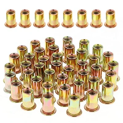 Immagine di Gueenky 100 Pezzi dadi Rivetti Filettati in Acciaio Carbonio Zincato, M10 con Testa Piatta, Assortimento Inserti Mobili Legno (17 mm x 21 mm)