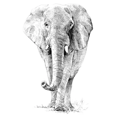 Immagine di Royal Brush Sketching Made Easy Kit 22,9 x 30,5 cm, Elefante