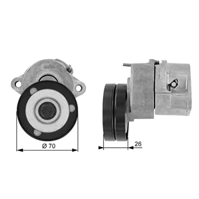 Immagine di GATES FleetRunner Micro V Kit T38213 Rullo Tendicinghia OPEL: Corsa B Hatchback