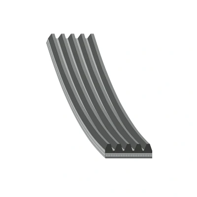 Immagine di FEBI BILSTEIN 28865 Cinghia Poly V 1225 5 EPDM (Etilene Propilene Diene Caucciù) PEUGEOT: 405 I Sedan
